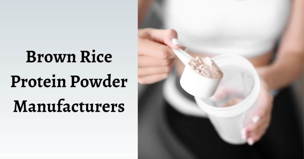 Third Party Brown Rice Protein Powder Manufacturers
